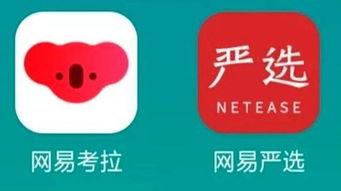 网易考拉最新爆料,揭秘跨境电商新动态与趋势  第1张